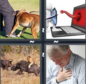 4 Pics 1 Word Level 1121