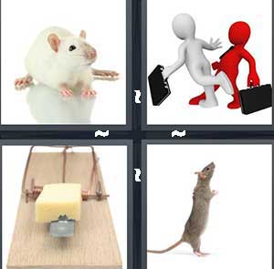 4 Pics 1 Word Level 1135