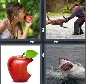4 Pics 1 Word Level 1151