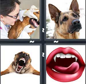 4 Pics 1 Word Level 1174