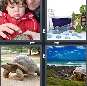 4 Pics 1 Word Level 1177