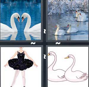 4 Pics 1 Word Level 1193