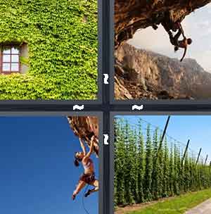 4 Pics 1 Word Level 1203