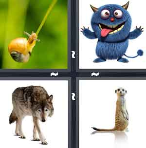 4 Pics 1 Word Level 1217