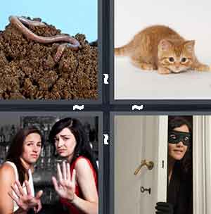 4 Pics 1 Word Level 1219