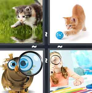 4 Pics 1 Word Level 1224
