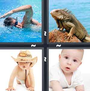 4 Pics 1 Word Level 1225