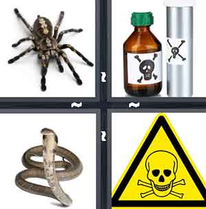 4 Pics 1 Word Level 1238