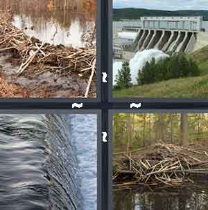 4 Pics 1 Word Level 1244