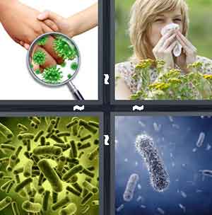 4 Pics 1 Word Level 1255