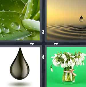 4 Pics 1 Word Level 1257