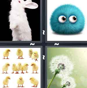 4 Pics 1 Word Level 1337
