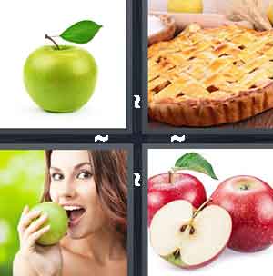 4 Pics 1 Word Level 1340