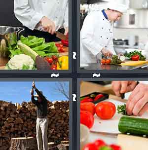 4 Pics 1 Word Level 1342