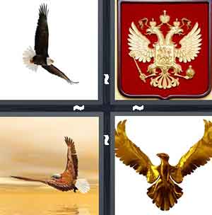 4 Pics 1 Word Level 1356