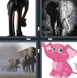 4 Pics 1 Word Level 1359