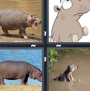 4 Pics 1 Word Level 1363