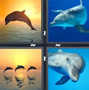4 Pics 1 Word Level 1365