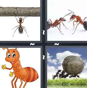 4 Pics 1 Word Level 1367