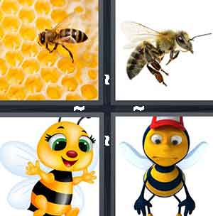 4 Pics 1 Word Level 1368