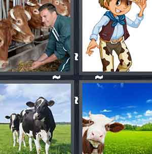 4 Pics 1 Word Level 1370