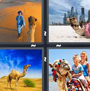 4 Pics 1 Word Level 1373