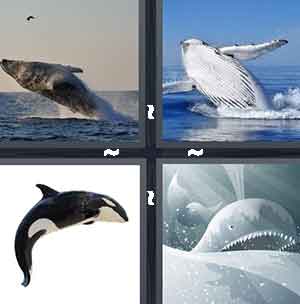 4 Pics 1 Word Level 1375