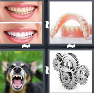 4 Pics 1 Word Level 1377