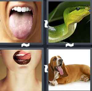 4 Pics 1 Word Level 1388