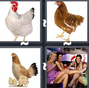 4 Pics 1 Word Level 1404