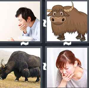4 Pics 1 Word Level 1414