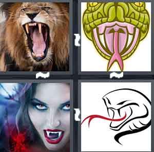 4 Pics 1 Word Level 1436