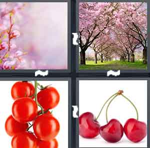 4 Pics 1 Word Level 1459