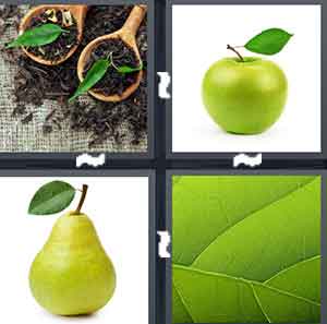 4 Pics 1 Word Level 1478