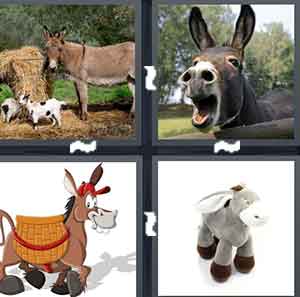 4 Pics 1 Word Level 1497