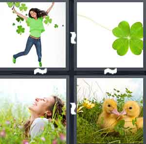 4 Pics 1 Word Level 1504