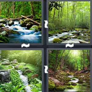 4 Pics 1 Word Level 1510