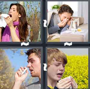 4 Pics 1 Word Level 1511