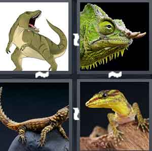 4 Pics 1 Word Level 1551