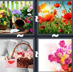 4 Pics 1 Word Level 1553