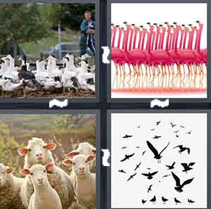4 Pics 1 Word Level 1571