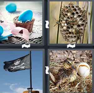 4 Pics 1 Word Level 1584