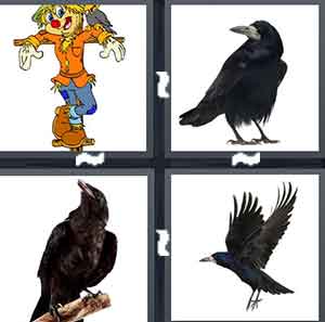 4 Pics 1 Word Level 1615