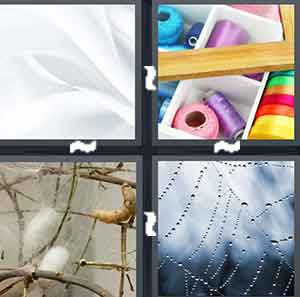 4 Pics 1 Word Level 1626