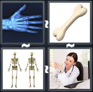 4 Pics 1 Word Level 1640