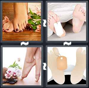4 Pics 1 Word Level 1645