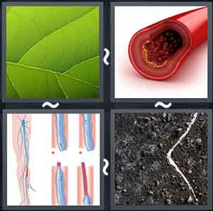 4 Pics 1 Word Level 1681