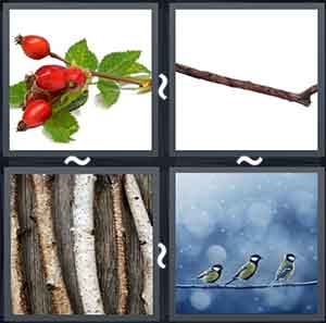 4 Pics 1 Word Level 1700