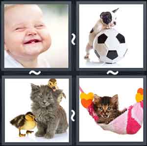 4 Pics 1 Word Level 1705