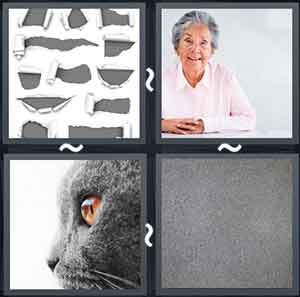 4 Pics 1 Word Level 1715